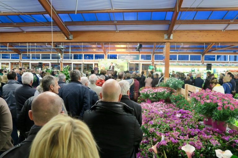 Botanic, bien plus qu'une jardinerie  ses univers et sa magie